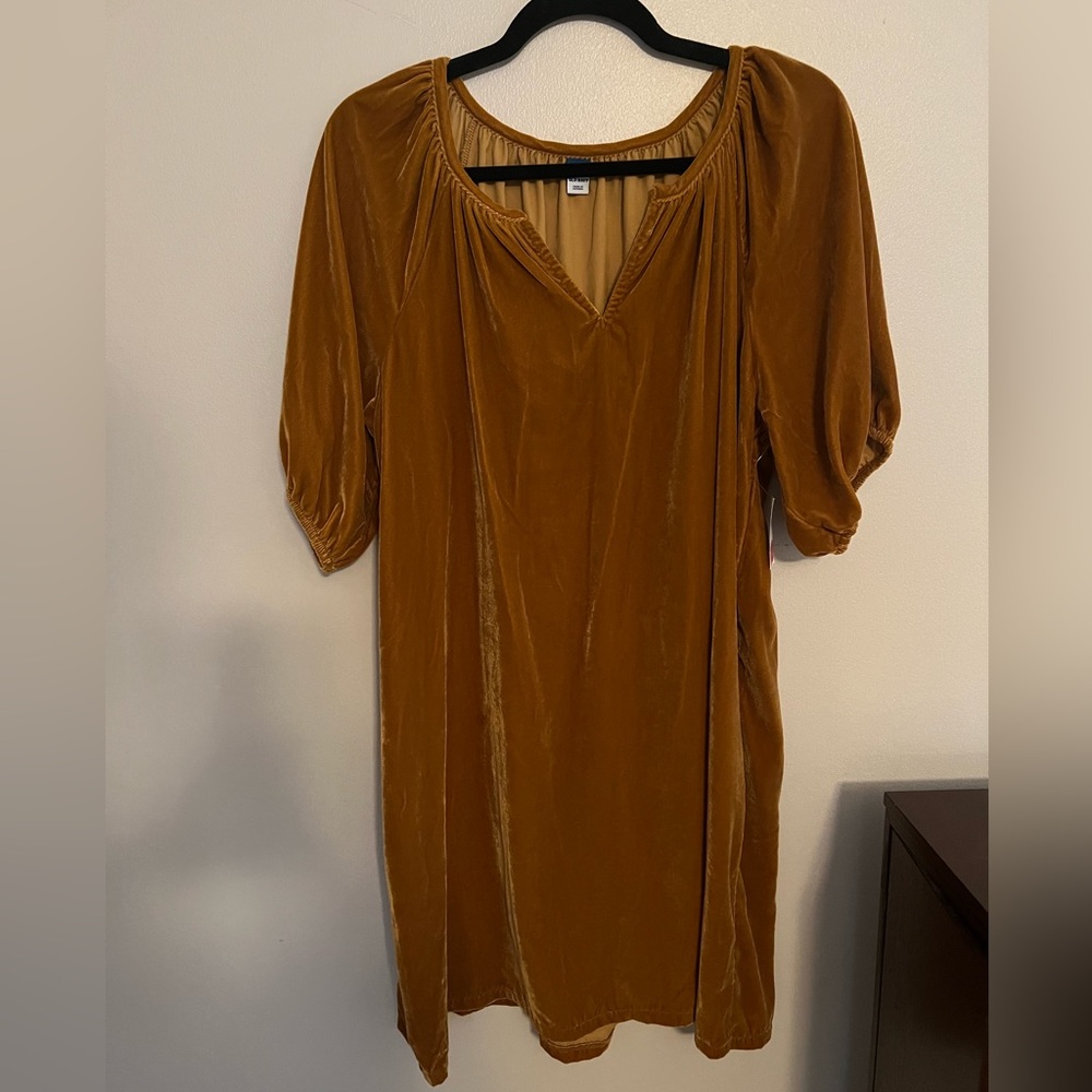NWT velvet dress